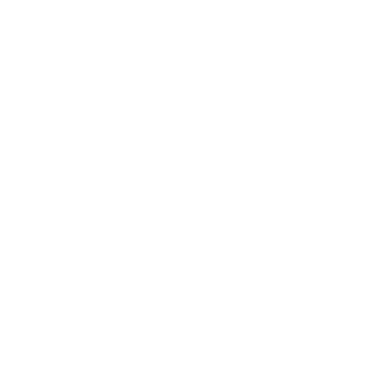 Taxi Martin